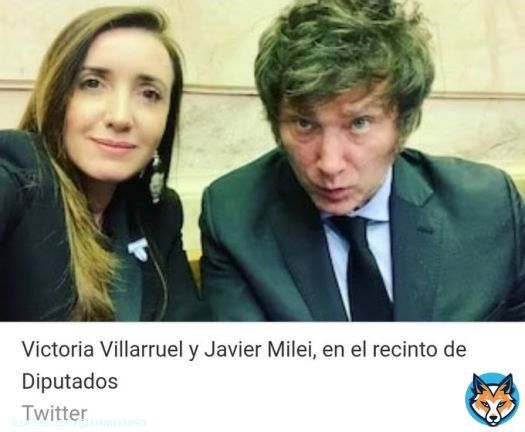Victoria Villarruel es hija de un militar que atent&oacute; contra la democracia y actu&oacute; con Bussi en Tucum&aacute;n. Niega el terrorismo de estado y los 30 mil desaparecidos. Estudi&oacute; defensa en EE UU y porta armas. Cerrame la 8 con Mondino y la 22 con Villarruel. Estos son libertarios?