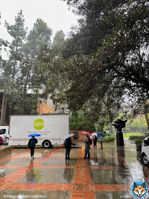 Umbrella sales are soaring at the UCLA Store. Happy start of the Winter Quarter Bruins!