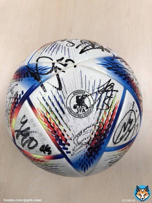 #栃木ＳＣ 選手会 #日本プロサッカー選手会 #工藤壮人 選手ありがとうオークション(～2/12）    【MF】 #佐藤祥 #大森渚生 #西谷優希 #高萩洋次郎 #ジュニーニョ #植田啓太 #神戸康輔 #安田虎士朗  【FW】 #瀬沼優司 #大島康樹 #五十嵐理人 #矢野貴章 #小堀空