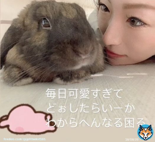 急な休み嬉しいけど雪でおうちからもでられへん。 もぉ今日は全部諦めて朝からビールでも飲もうかな\u2661 高校生2人はまだ寝てはる(&acute;&sigma;｀)zzz #仕事休み #JR全滅 #学校休み #京都の雪 #うさぎ好きな人と繋がりたい