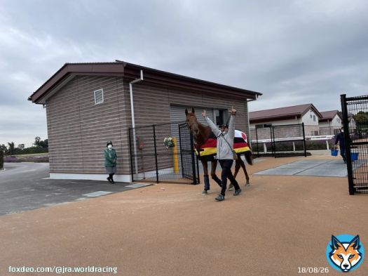 #ジャパンカップ に出走した外国馬が東京競馬場を退厩し、帰国の途に就きます  Thank you for running in #JapanCup  Hope to see you next year   #テュネス #TUNNES