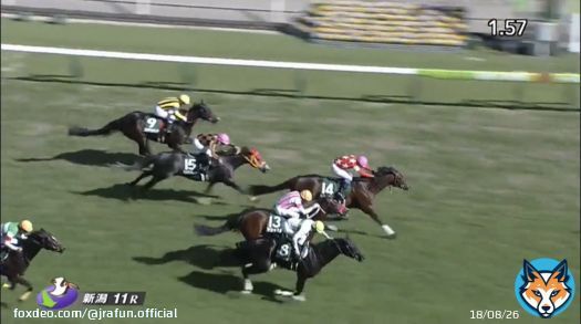 #レッドガラン が、新潟大賞典(GIII) を優勝！  新潟伝統の中距離ハンデ重賞を制す！これからもますますの活躍が楽しみだね。おめでとう！  #JRA #JRAFUN #新潟大賞典 #岩田康誠