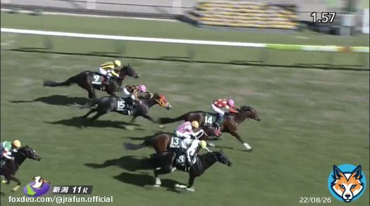 #レッドガラン が、新潟大賞典(GIII) を優勝！  新潟伝統の中距離ハンデ重賞を制す！これからもますますの活躍が楽しみだね。おめでとう！  #JRA #JRAFUN #新潟大賞典 #岩田康誠
