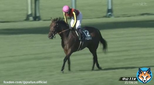 #スタニングローズ が、紫苑ステークス(GIII)を優勝！  3歳牝馬最後の一冠へ！3着以内の馬には、秋華賞(GI)への優先出走権が与えられるよ。本番でも頑張ってほしいね！おめでとう！  #JRA #JRAFUN #紫苑ステークス #坂井瑠星