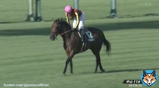 #スタニングローズ が、紫苑ステークス(GIII)を優勝！  3歳牝馬最後の一冠へ！3着以内の馬には、秋華賞(GI)への優先出走権が与えられるよ。本番でも頑張ってほしいね！おめでとう！  #JRA #JRAFUN #紫苑ステークス #坂井瑠星