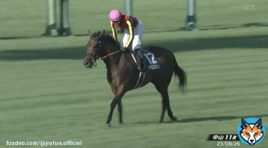 #スタニングローズ が、紫苑ステークス(GIII)を優勝！  3歳牝馬最後の一冠へ！3着以内の馬には、秋華賞(GI)への優先出走権が与えられるよ。本番でも頑張ってほしいね！おめでとう！  #JRA #JRAFUN #紫苑ステークス #坂井瑠星