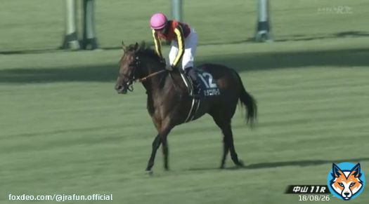 #スタニングローズ が、紫苑ステークス(GIII)を優勝！  3歳牝馬最後の一冠へ！3着以内の馬には、秋華賞(GI)への優先出走権が与えられるよ。本番でも頑張ってほしいね！おめでとう！  #JRA #JRAFUN #紫苑ステークス #坂井瑠星