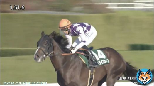 #サンライズホープ が、みやこステークス(GIII)を優勝！  いざ、秋のダート王決定戦へ！優勝馬には、チャンピオンズカップ(GI)の優先出走権が与えられるよ。本番での走りに期待だね。おめでとう！  #JRA #JRAFUN #みやこステークス #幸英明