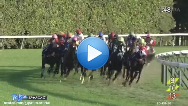 【2022年 ジャパンカップ 優勝馬】 #ヴェラアズール 父：エイシンフラッシュ 母：ヴェラブランカ 22戦6勝 主な勝鞍：2022年京都大賞典 ≪音声協力：ラジオNIKKEI≫ #JRA #JRAFUN #ジャパンカップ #Ｒ・ムーア