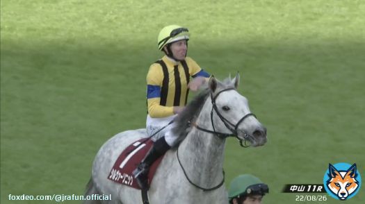 #シルヴァーソニック が、ステイヤーズステークス(GII)を制す！  国内平地競走最長の芝3600mを走り抜き重賞初制覇！おめでとう！みなさん長丁場お疲れ様でした。  #JRA #JRAFUN #ステイヤーズステークス #Ｄ・レーン