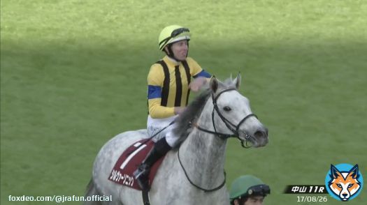 #シルヴァーソニック が、ステイヤーズステークス(GII)を制す！  国内平地競走最長の芝3600mを走り抜き重賞初制覇！おめでとう！みなさん長丁場お疲れ様でした。  #JRA #JRAFUN #ステイヤーズステークス #Ｄ・レーン
