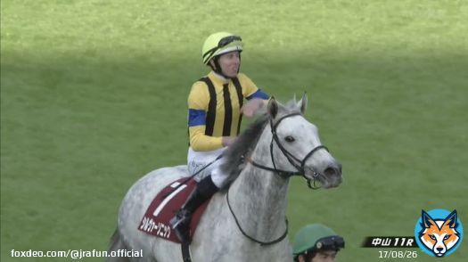 #シルヴァーソニック が、ステイヤーズステークス(GII)を制す！  国内平地競走最長の芝3600mを走り抜き重賞初制覇！おめでとう！みなさん長丁場お疲れ様でした。  #JRA #JRAFUN #ステイヤーズステークス #Ｄ・レーン