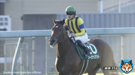 #ソーヴァリアント が、チャレンジカップ(GIII) を優勝！  今年で73回目を迎えた阪神伝統の一戦を制す！見事な連覇達成おめでとう！  #JRA #JRAFUN #チャレンジカップ #ルメール