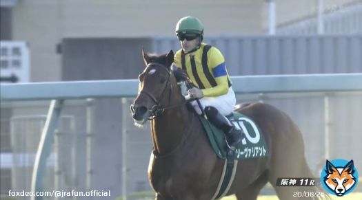 #ソーヴァリアント が、チャレンジカップ(GIII) を優勝！  今年で73回目を迎えた阪神伝統の一戦を制す！見事な連覇達成おめでとう！  #JRA #JRAFUN #チャレンジカップ #ルメール