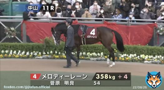 #メロディーレーン が、ステイヤーズステークス(GII)に登場！  358kgという小さな馬体で「芝3600m」に挑むよ！応援よろしくね！  #JRA #JRAFUN #ステイヤーズステークス #菅原明良