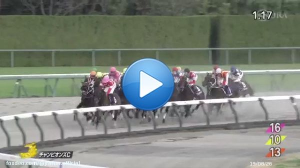 【2022年 チャンピオンズカップ 優勝馬】 #ジュンライトボルト 父：キングカメハメハ　母：スペシャルグルーヴ 25戦7勝 主な勝鞍：2022年シリウスステークス ≪音声協力：ラジオNIKKEI≫ #JRA #JRAFUN #チャンピオンズカップ  #石川裕紀人