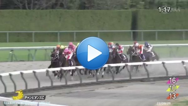 【2022年 チャンピオンズカップ 優勝馬】 #ジュンライトボルト 父：キングカメハメハ　母：スペシャルグルーヴ 25戦7勝 主な勝鞍：2022年シリウスステークス ≪音声協力：ラジオNIKKEI≫ #JRA #JRAFUN #チャンピオンズカップ  #石川裕紀人