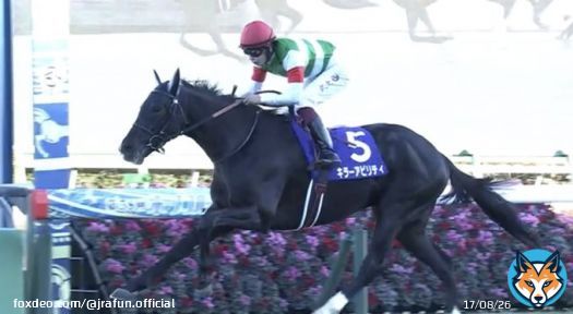 ホープフルステークス(GI)を優勝したのは、#キラーアビリティ！  見事、2歳中距離チャンピオンの座に輝く！来年のクラシックが今から楽しみだね。おめでとう！  #うまび #ホープフルステークス #横山武史