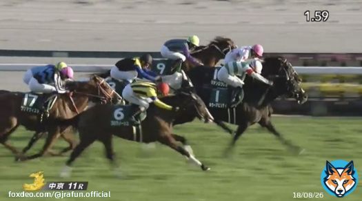 #キラーアビリティ が、中日新聞杯(GIII)を優勝！  今年で58回目を迎えた歴史深いハンデ重賞を見事に制す！2021年のホープフルステークス(GI)以来の勝利となったよ。おめでとう！  #JRA #JRAFUN #中日新聞杯 #団野大成