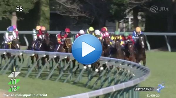 【2022年 阪神ジュベナイルフィリーズ 優勝馬】 #リバティアイランド 父：ドゥラメンテ　母：ヤンキーローズ 3戦2勝 ≪音声協力：ラジオNIKKEI≫ #JRA #JRAFUN #阪神ジュベナイルフィリーズ #川田将雅