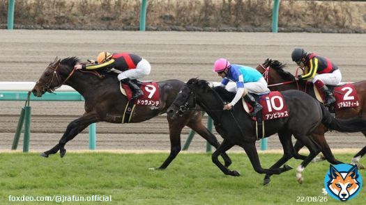 今週末は、中山記念(GII)！  2016年の優勝馬は、#ドゥラメンテ。現役最後の勝利がこの中山記念だったよ。昨年(2022年)は #タイトルホルダー をはじめ、子供たちが「GI 6勝」と大活躍！きっと今は天国で大喜びしているね。  #JRA #JRAFUN #中山記念 #Ｍ・デムーロ