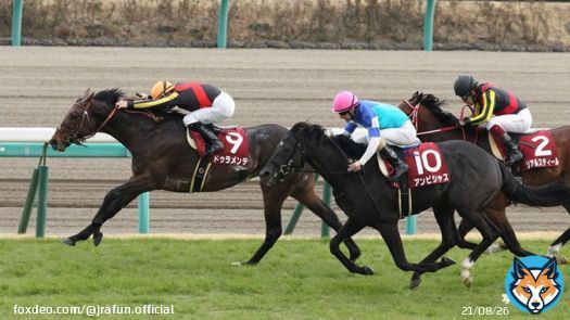 今週末は、中山記念(GII)！  2016年の優勝馬は、#ドゥラメンテ。現役最後の勝利がこの中山記念だったよ。昨年(2022年)は #タイトルホルダー をはじめ、子供たちが「GI 6勝」と大活躍！きっと今は天国で大喜びしているね。  #JRA #JRAFUN #中山記念 #Ｍ・デムーロ