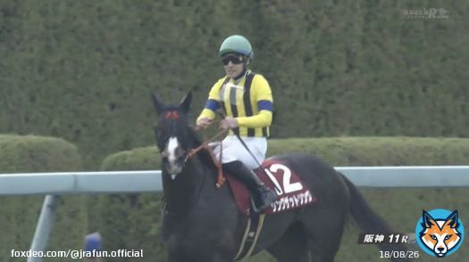 #シングザットソング が、フィリーズレビュー(GII)を優勝！  さぁ、桜の舞台が待っている！2着は #ムーンプローブ、3着は #ジューンオレンジ。3着以内馬に #桜花賞(GI)の優先出走権が与えられるよ。本番も楽しみだね！  #JRA #JRAFUN #フィリーズレビュー #吉田隼人
