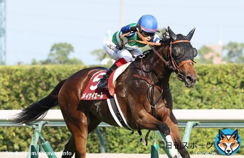 【#セントウルステークス】中京競馬場で行われたセントウルステークス（GII）は池添謙一騎手騎乗の1番人気メイケイエールがレコードV！ 重賞6勝目を達成しました！ #競馬 #keiba #JRAVAN #セントウルS
