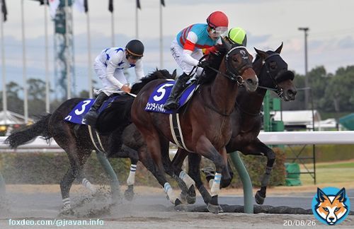 【#チャンピオンズカップ】中京競馬場で行われたチャンピオンズカップ（GI）は石川裕紀人騎手騎乗の3番人気ジュンライトボルトが差し切りV！ 人馬ともにG1初制覇を飾りました！ #競馬 #keiba #JRAVAN #チャンピオンズC