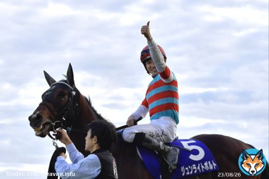 人馬ともにG1初制覇 #チャンピオンズカップ を制したのは #ジュンライトボルト  #石川裕紀人 騎手おめでとうございます