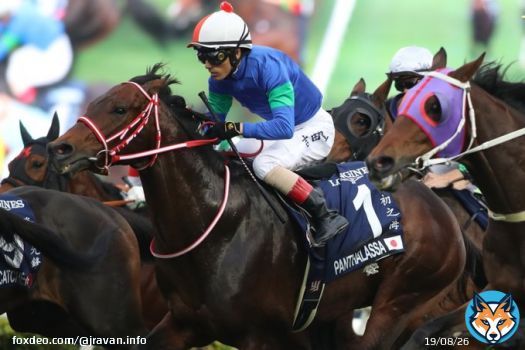 #香港国際競走 #香港カップ #パンサラッサ #ジャックドール #ダノンザキッド #ジオグリフ