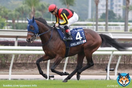 #香港国際競走 #香港マイル #シュネルマイスター #ダノンスコーピオン