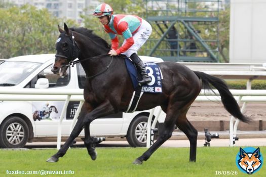 #香港国際競走 #香港スプリント #ジャンダルム #ナランフレグ #メイケイエール #レシステンシア