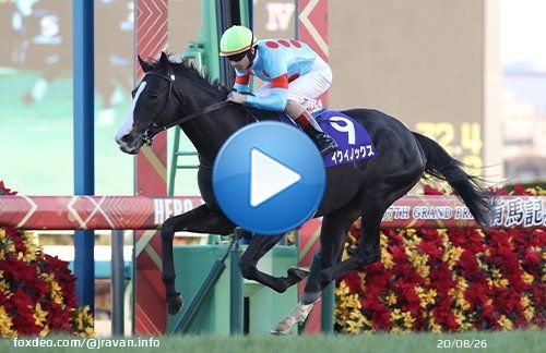 グランプリ、有馬記念はイクイノックスが圧巻の末脚を繰り出し優勝！　秋の天皇賞に続きGIレース2勝目を挙げました！　2着に入ったボルドグフーシュもこれがラスト有馬となる福永祐一騎手を背に豪快なまくりで魅せてくれました