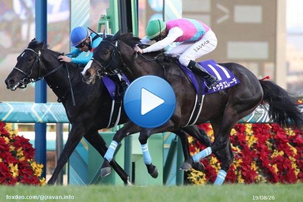 2022年のJRA・GIを締めくくる2歳中距離ナンバーワン決定戦、ホープフルステークスは14番人気ドゥラエレーデがハナ差の大接戦を制しました！ 2着は7番人気トップナイフ、3着に6番人気キングズレインが入りました！