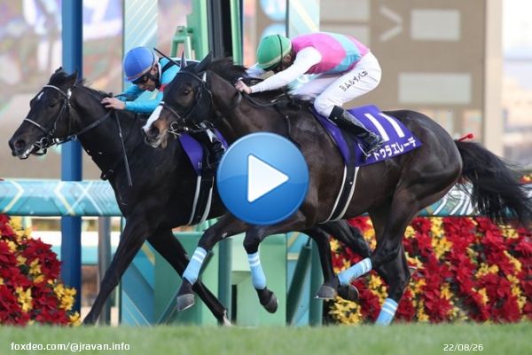 2022年のJRA・GIを締めくくる2歳中距離ナンバーワン決定戦、ホープフルステークスは14番人気ドゥラエレーデがハナ差の大接戦を制しました！ 2着は7番人気トップナイフ、3着に6番人気キングズレインが入りました！