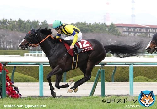 【#フィリーズレビュー】阪神競馬場で行われたフィリーズレビュー（GII）は吉田隼人騎手騎乗の2番人気シングザットソングが直線で抜け出して重賞初制覇！ 2着ムーンプローブ、3着ジューンオレンジまでが桜花賞の優先出走権を獲得です！