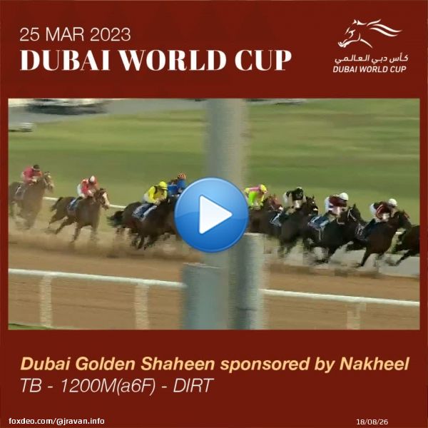 G1ドバイゴールデンシャヒーンは最内を立ち回ったシベリウスが連覇を狙うスイッツァランドの追い上げを際どくしのぐ。R.ムーア騎手は本日2勝目。日本勢はリメイクの5着が最高。2年連続2着のレッドルゼルは6着まで  #DWC23  @RacingDubai