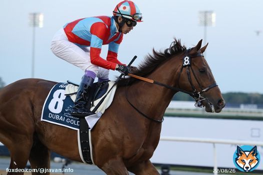 【ドバイゴールデンシャヒーン】レース後のリメイクら関係者コメントです！ 武豊騎手「直線では良い脚を使ってくれましたが、あと少しでした」   ドバイワールドカップデー特集（2023）