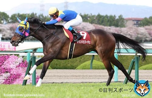 【#阪神牝馬ステークス】阪神競馬場で行われた阪神牝馬ステークス（GII）は浜中俊騎手騎乗の6番人気サウンドビバーチェが重賞初制覇！ ヴィクトリアMの優先出走権を獲得しました！ #阪神牝馬S