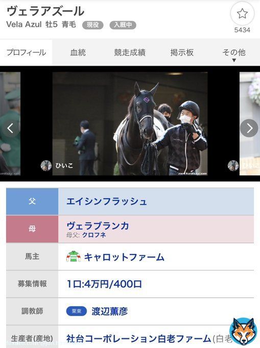 ヴェラアズール　1口4万円（400口） シャフリヤール　1口300万円（40口） ヴェルトライゼンデ  1口90万円（40口） デアリングタクト　1口4万4,000円（400口）