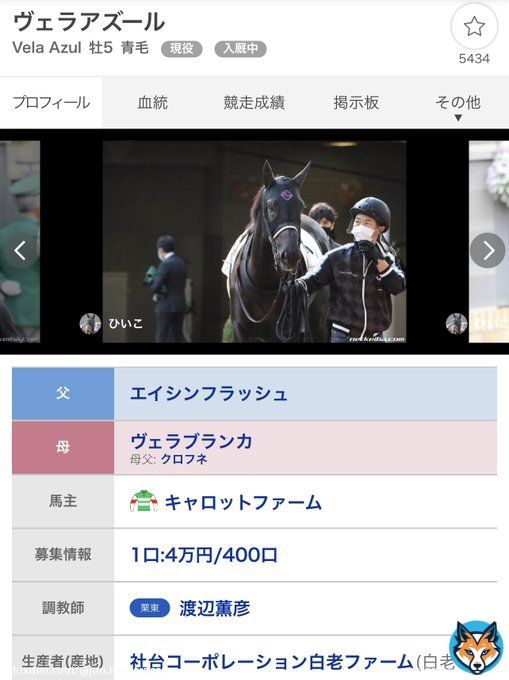 ヴェラアズール　1口4万円（400口） シャフリヤール　1口300万円（40口） ヴェルトライゼンデ  1口90万円（40口） デアリングタクト　1口4万4,000円（400口）