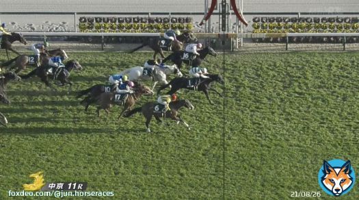 キラーアビリティ差し切り勝ち。  #中日新聞杯