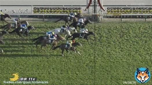 キラーアビリティ差し切り勝ち。  #中日新聞杯