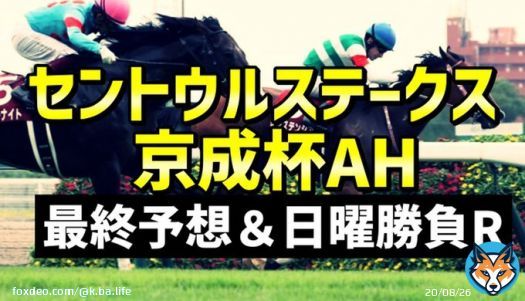 \ セントウルステークス＆京成杯AH / \u25c9先週札幌＆小倉2歳S本命1着 \u25c9紫苑S\u25ceライラック6人気3着！ \u25c9土曜勝負レースは3戦2勝！ 日曜重賞も結果出せるよう一生懸命妄想済。 とにかくセントウルステークスが色んな意味で楽しみ。  ＊フォローRTしたら無料で読めます。