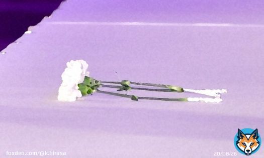 お笑いコンビ「青空」の須藤理恵さん死去、45歳　５月９日NGKが最後の舞台だった(日刊スポーツ) #Yahooニュース