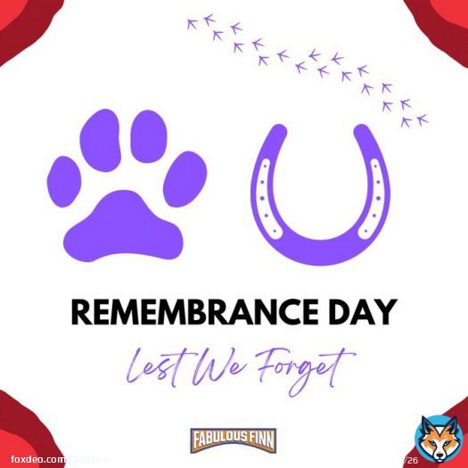 &lsquo;They also served&rsquo;  #remembranceday&nbsp; #armisticeday&nbsp; #FabulousFinn #animalsatwar #theyservedtoo