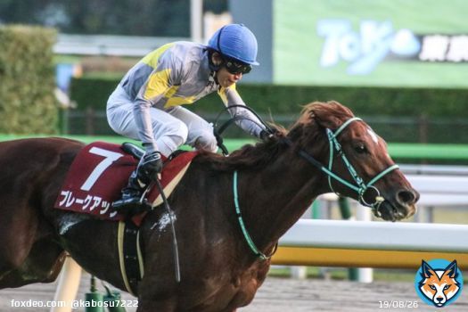 アルゼンチン共和国杯 ブレークアップ　田辺裕信騎手  おめでとうございます