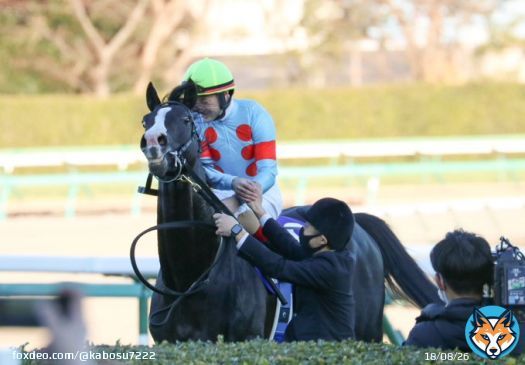 有馬記念 イクイノックス　C.ルメール騎手  おめでとうございます！！！！  　イクイノックス「えっへん！！！！！！！！」