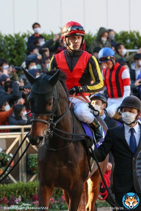 人馬共に品格が溢れすぎている  #ジェラルディーナ #C・デムーロ 騎手